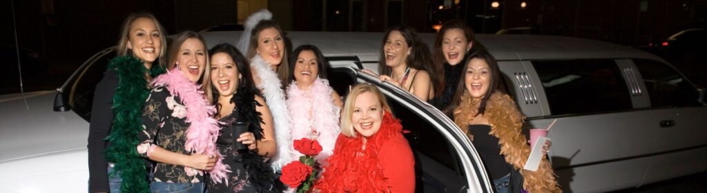 Limo & Party Bus Rental for Christmas Light Tour, Miami,FL